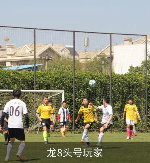 走进龙8头号玩家